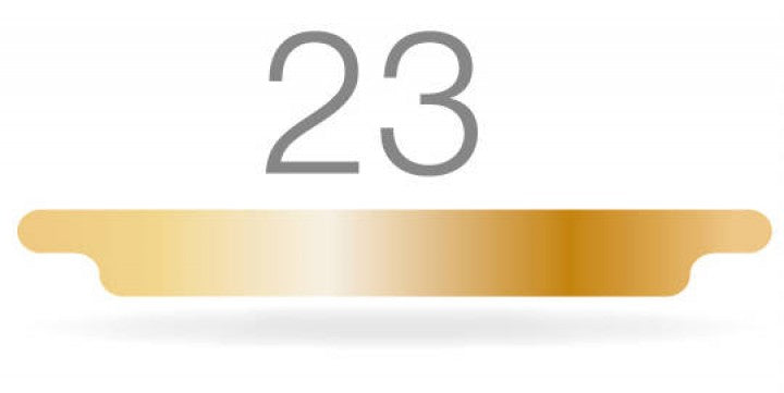 Système Goldstadt - Modèles Double Accroche - Lot de 10 - Ruck