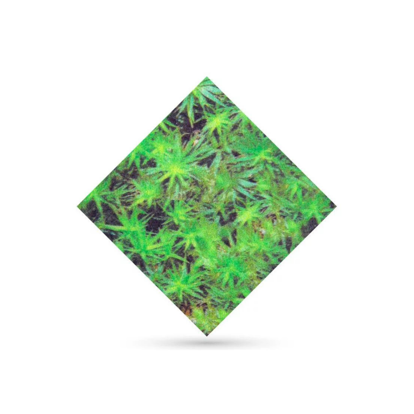 Recouvrement My Fantasy - Polyester - Rouleau - 1 mm
