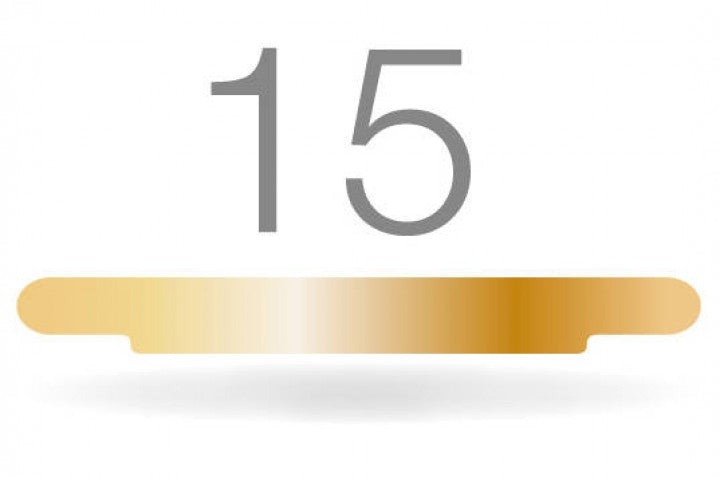 Système Goldstadt - Modèles Double Accroche - Lot de 10 - Ruck